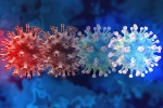 C.1.2 variant symptoms, C.1.2 variant vaccine impact, latest coronavirus variant evades vaccine protection, Mauritius