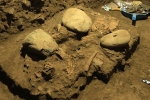 7200 year old human remains found, Toalean culture, remains of a teenager who died 7200 years found, Sulawesi
