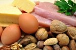 cells, tissues, why protein is an important part of your healthy diet, Myths