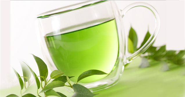 Why green tea is an absolute must?},{Why green tea is an absolute must?