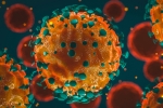 coronavirus India news, Coronavirus India tally, 37 875 new coronavirus cases reported in india, Union health ministry
