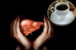 Hepatic Cancer treatment, Alcohol and Coffee, coffee consumption helps in protecting boozers livers, Coffee benefits