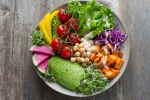 lifestyle, vegan, important factors to know before transitioning to a vegan lifestyle, Plant based diet