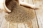 Carom Seeds for health, Ajwain India, benefits of adding carom seeds to your diet, Indian cuisine