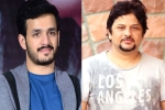 Akhil Akkineni new project, Akhil Akkineni new film, akhil akkineni and surendar reddy joins hands, Coronavirus lockdown