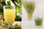Amla Juice Vs Wheatgrass Juice for liver disease, Amla Juice Vs Wheatgrass Juice for health, amla juice vs wheatgrass juice for fatty liver, Natural
