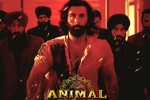 Animal Filmfare, Animal film, record breaking nominations for animal, Creative