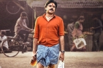 Bheemla Nayak total collections, Tollywood box-office, bheemla nayak dominates new releases in weekend, Aadavallu meeku joharlu