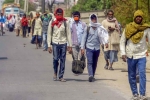 Migrant Workers, Indian Council of Medical Research, coronavirus death rates are less but cases have increased after migrants moved, Economists