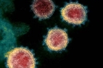 Coronavirus new updates, Coronavirus variants, face covid 26 and covid 32 warns experts, Coronavirus origin