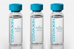 EUL for Covaxin, EUL for Covaxin delayed, who delays the eul decision on covaxin, Covishield