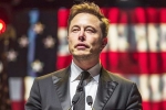 Elon Musk, Donald Trump at Pennsylvania, is elon musk in the trump cabinet, Hacking