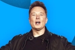 Elon Musk news, Elon Musk latest updates, elon musk s new ultimatum to twitter staffers, Tesla