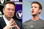 Elon Musk, Elon Musk and Mark Zuckerberg news, elon vs zuckerberg mma fight ahead, Tech giants