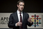 firm, Facebook, facebook ceo refuses to quit amid pressure from investors, Mark zuckeberg