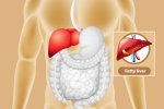 Fatty Liver tips, Fatty Liver, dangers of fatty liver, Holi
