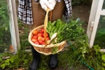 Fruits and Veggies home garden, Vegetables at Home, fruits and veggies that are easy to grow at home, Young man