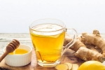 Ginger And Honey new updates, Ginger And Honey lung health, ginger and honey benefits for lung health, Ntr