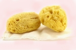 sea sponge tampons walmart, where to buy period sponges, gynecologist warns women against using sea sponges as reusable nurturing alternatives to tampons, Celine