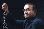 CBI probe, CBI Probe for Financial Irregularities, over 20 indians living abroad facing cbi probe for financial irregularities, Nirav modi