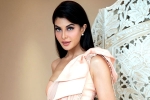 Jacqueline Fernandez case, Jacqueline Fernandez files a case, jacqueline fernandez files complaint against sukesh chandrashekhar, Maharashtra