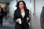 state, Democratic voters, kamala harris to decide on 2020 u s presidential bid over the holiday, Midterm elections
