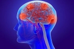 Coronavirus brain news, Coronavirus symptoms, coronavirus can cause long term loss of brain tissue, Fda