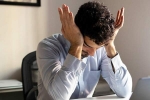 Minerals to reduce anxiety updates, Minerals to reduce anxiety new breaking, list of minerals that reduce stress, Dried apricot