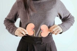 Kidneys Health medication, Kidneys Health experts, morning habits to keep your kidneys healthy, Kidney health