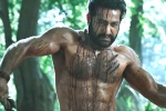 RRR updates, Ramaraju for Bheem teaser, ramaraju for bheem ntr s deadly transformation as komaram bheem, Best actors
