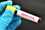 Nipah Virus symptoms, Nipah Virus death rate, nipah virus is back again two deaths registered, World health organization