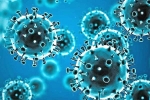 Coronavirus India, Omicron Tollywood breaking updates, omicron fear for tollywood, Coronavirus india