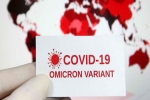 Omicron USA breaking news, US scientists, omicron is no worse than other variants says us scientists, Anthony fauci