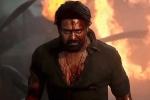 PVR and INOX new updates, PVR and INOX on Salaar, pvr and inox degrading act on salaar, Hanu raghavapudi
