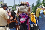 vikas khanna, sonu sood, plight of migrant workers baby shakes to wake up deceased mother, Dehydration