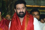 Prabhas for Salaar Crew, Prabhas for Salaar Crew, prabhas has a surprise for salaar team, Hanu raghavapudi