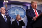 new york, cdc, quarantine will not be necessary president trump about new york lockdown, Rhode island