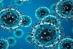 R.1 Coronavirus breaking news, R.1 Coronavirus cases, r 1 variant of coronavirus traced in 35 countries, Coronavirus usa