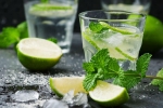 Virgin mojito, non- alcoholic, recipe of virgin mojito, Ice cubes