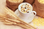 sawan ke somvar 2019, Sawan Somvar Vrat food rules, sawan somvar vrat here s why you shouldn t eat oats during this holy vrat, Sabudana