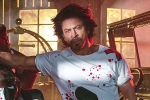 Shah Rukh Khan new film, Shah Rukh Khan breaking, shah rukh khan to play a don in king, Gauri khan