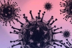 Omicron breaking news, WHO, south african scientists about omicron variant, Omicron cases