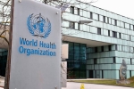WHO coronavirus revelations, WHO coronavirus updates, team who claims about the true origin of coronavirus, Wuhan