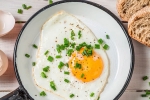 healthy, cholesterol, top 5 benefits of eggs that ll make you to eat them every day, World egg day