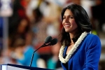 India, president, tulsi gabbard likely to run for u s presidency in 2020 sources, Kain India, president, tulsi gabbard likely to run for u s presidency in 2020 sources, Kain
