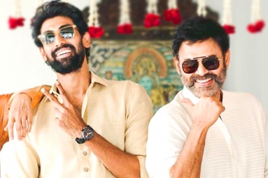 Venkatesh and Rana Multi-starrer on cards