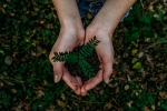 recycle, sustainable, what can you do to save earth, Earth day