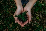 world earth day, sustainable, what can you do to save earth, Greta thunberg