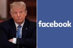 Donald Trump latest, Facebook bans Donald Trump, facebook bans donald trump for 2 years, Penalty