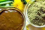 Henna latest, Henna prices, how henna helps for hair growth and health, Side effects